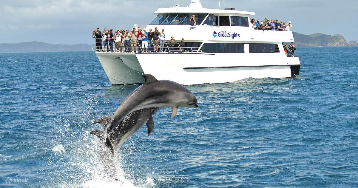 dolphin cruise fort lauderdale